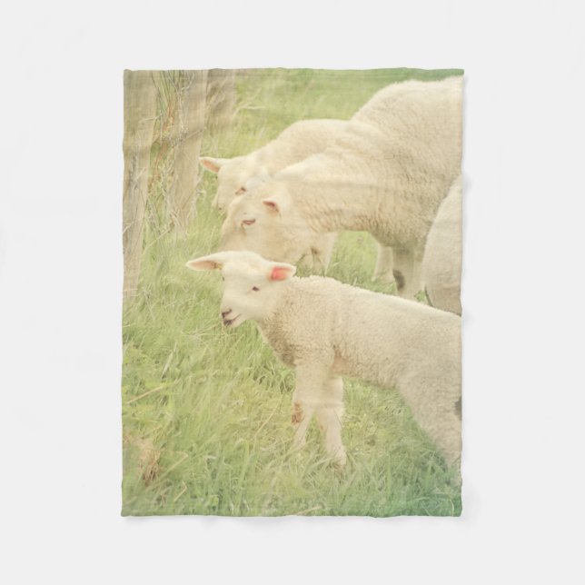 Lamb Baby Animals Sheep Fleece Blanket (Front)