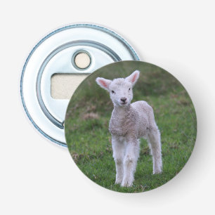 Lamb Baby Sheep Farm Animal Bottle Opener