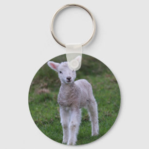 Lamb Baby Sheep Farm Animal Key Ring