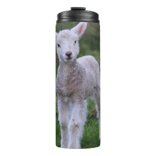 Lamb Baby Sheep Farm Animal Thermal Tumbler