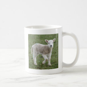 LAMB COFFEE MUG
