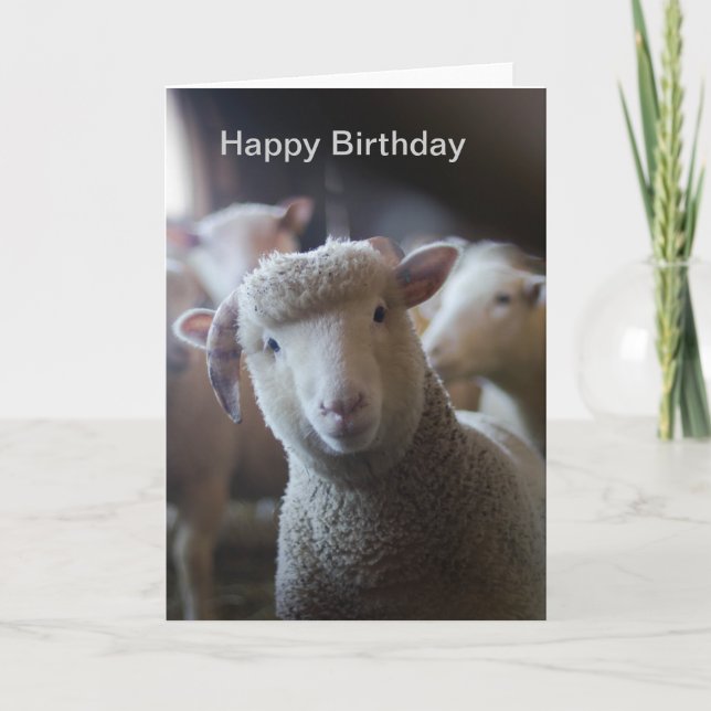 Lamb Happy Birthday Card (Front)