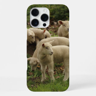 Lamb  iPhone 16 pro max case