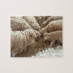 Lamb Jigsaw Puzzle