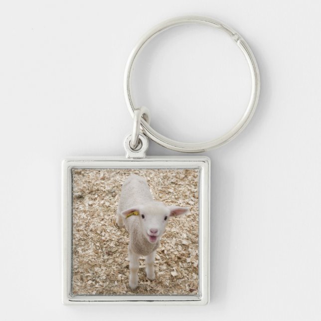 Lamb Key Ring (Front)