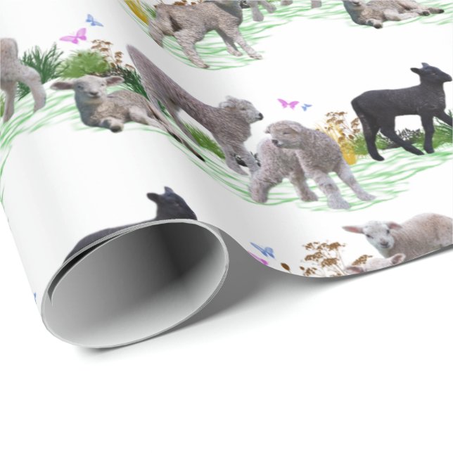 Lamb Meadow Wrapping Paper (choose colour) (Roll Corner)
