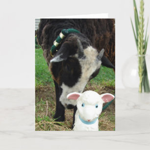 Lamb Meet Lamb all occasions Card