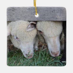 Lamb ornament