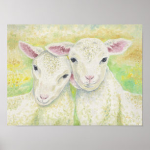 Lamb Pair Poster