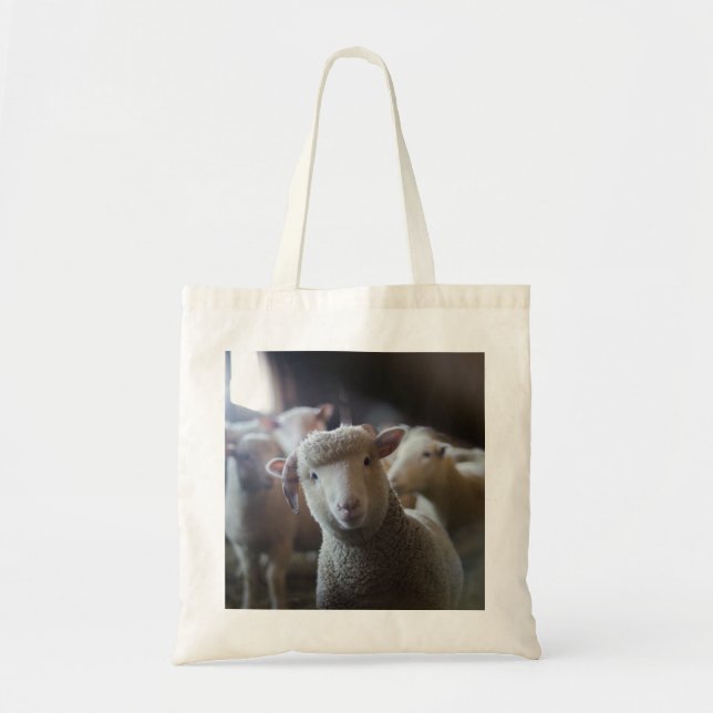 Lamb Photo Tote (Front)