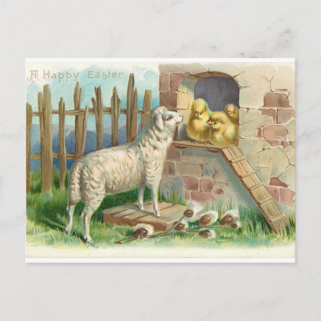 Lamb With Chicks Holiday Postcard (Front)