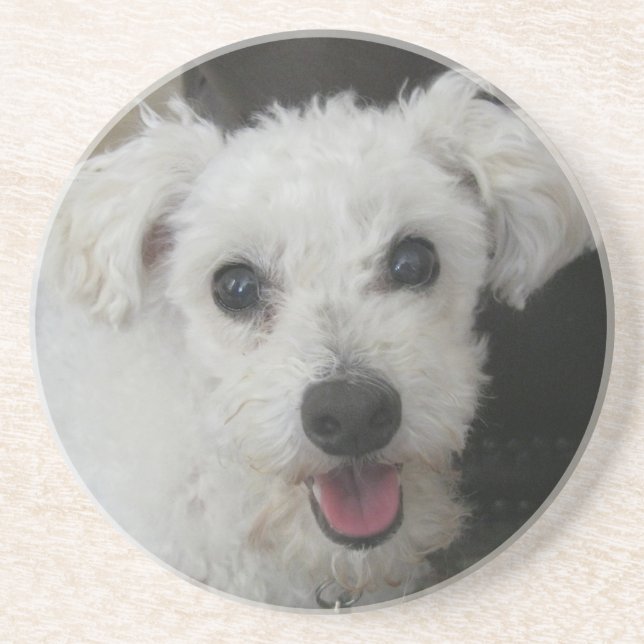Lambchop the Poodle Coaster (Front)