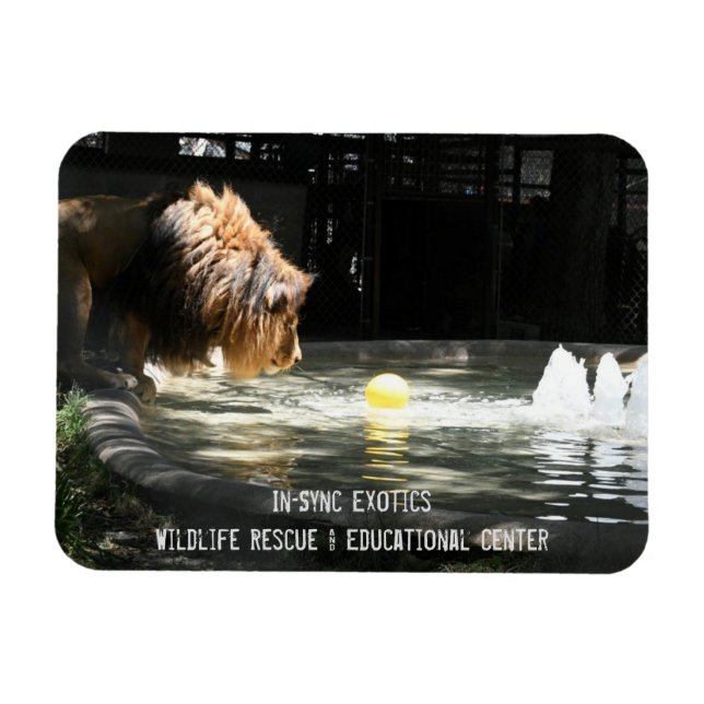 Lambert - Flexible Photo Magnet (Horizontal)