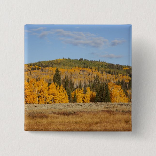 Lambert Hollow, aspen trees 15 Cm Square Badge (Front)