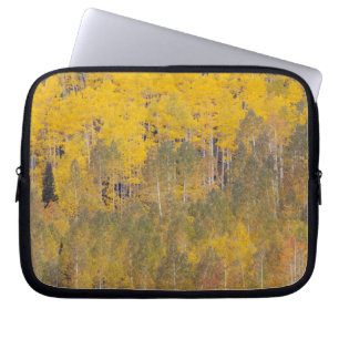 Lambert Hollow, aspen trees 2 Laptop Sleeve