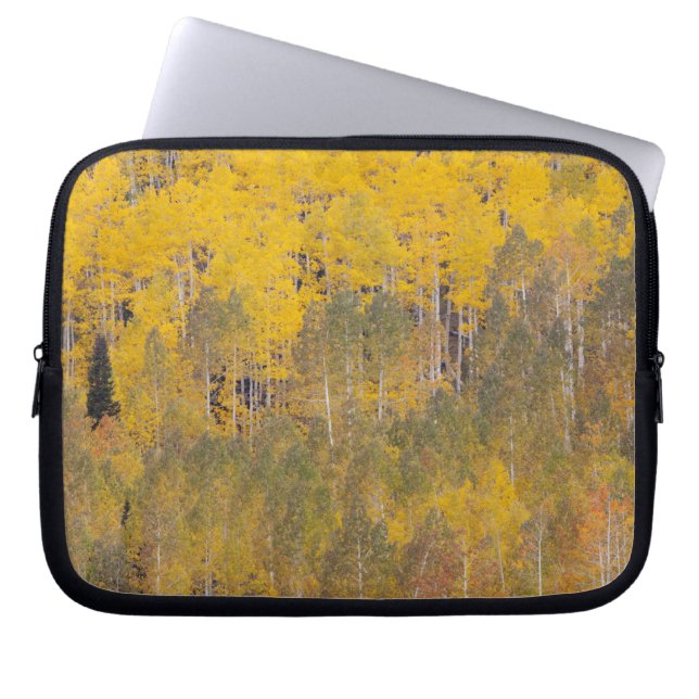 Lambert Hollow, aspen trees 2 Laptop Sleeve (Front)