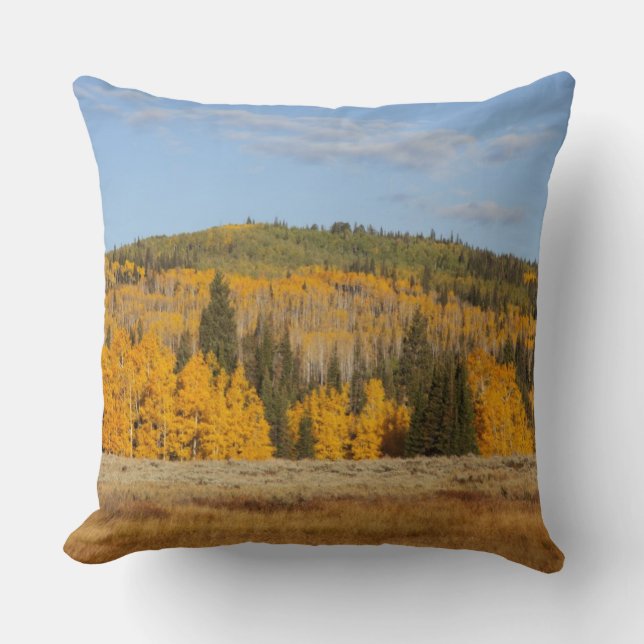 Lambert Hollow, aspen trees Cushion (Front)