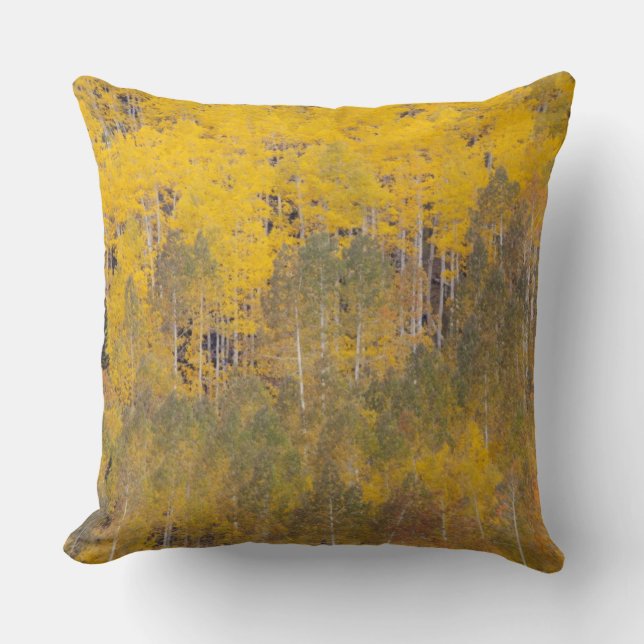 Lambert Hollow, aspen trees Cushion (Front)