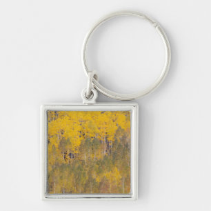 Lambert Hollow, aspen trees Key Ring