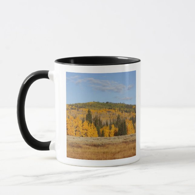 Lambert Hollow, aspen trees Mug (Left)