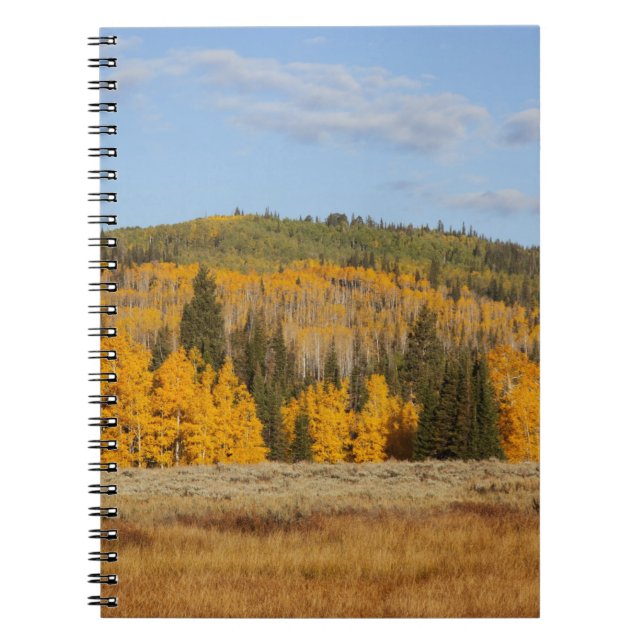 Lambert Hollow, aspen trees Notebook (Front)
