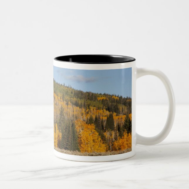 Lambert Hollow, aspen trees Two-Tone Coffee Mug (Right)