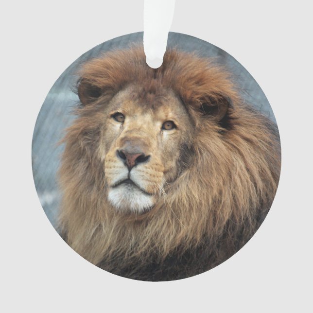 Lambert - ornament (Front)