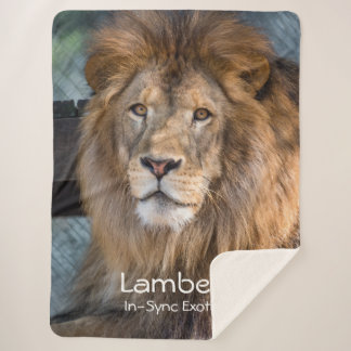 Lambert -  sherpa blanket