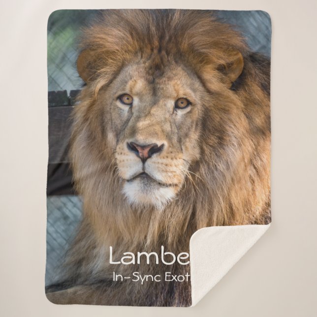Lambert -  sherpa blanket (Front)