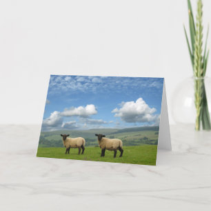 Lambs Card