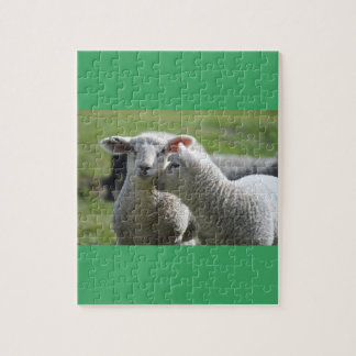 Lambs together jigsaw puzzle