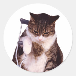 Lame cat classic round sticker
