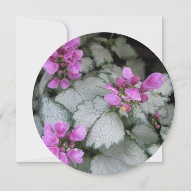 Lamium Maculatum Flower Invitation (Front)