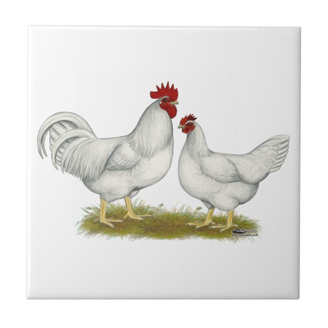 Lamona Chickens Ceramic Tile (Front)