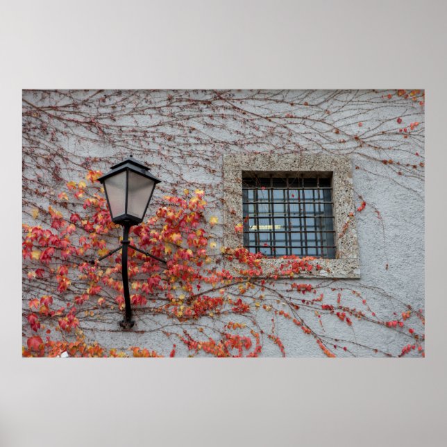 Lamp On A Grey Wall Poster (Front)