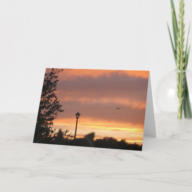 Lamp Post and Bird Card (Front)