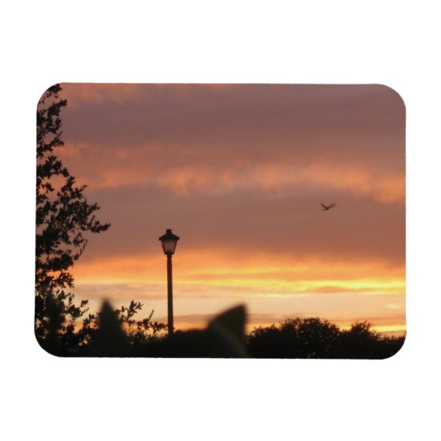Lamp Post and Bird Magnet (Horizontal)