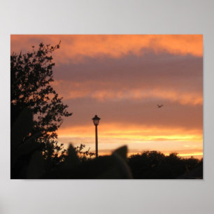 Lamp Post and Bird Poster