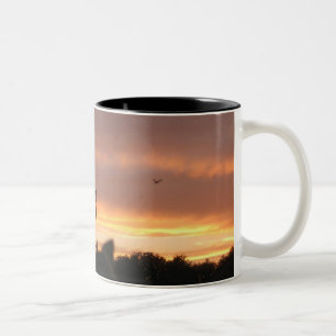 Lamp Post and Bird Two-Tone Coffee Mug