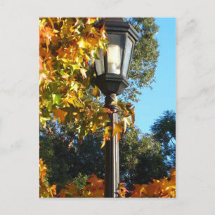 Lamp Post in Fall Postcard