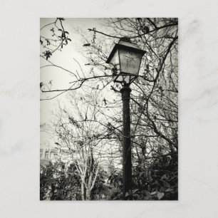 Lamp post in Paris Postcard