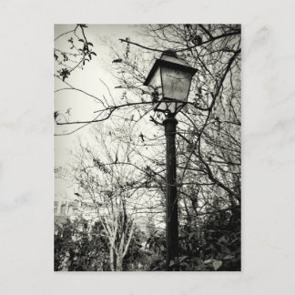 Lamp post in Paris Postcard