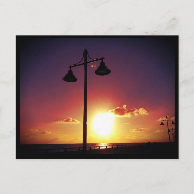 Lamp Posts Key West Florida Postcard (Front)