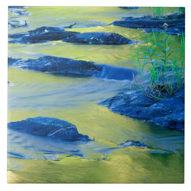 Lamprey River | New Hampshire Ceramic Tile (Front)