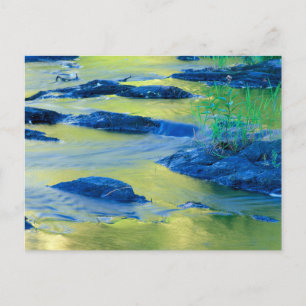 Lamprey River New Hampshire Postcard