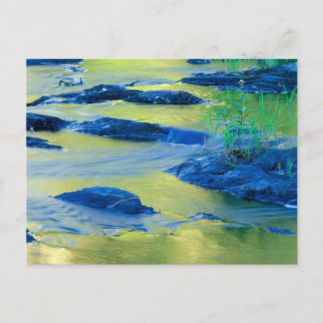 Lamprey River | New Hampshire Postcard (Front)