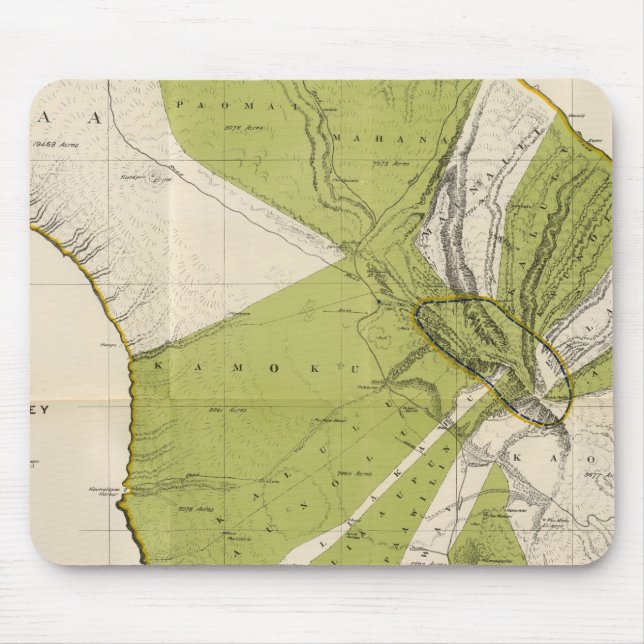 Lanai, Hawaii Mouse Pad (Front)