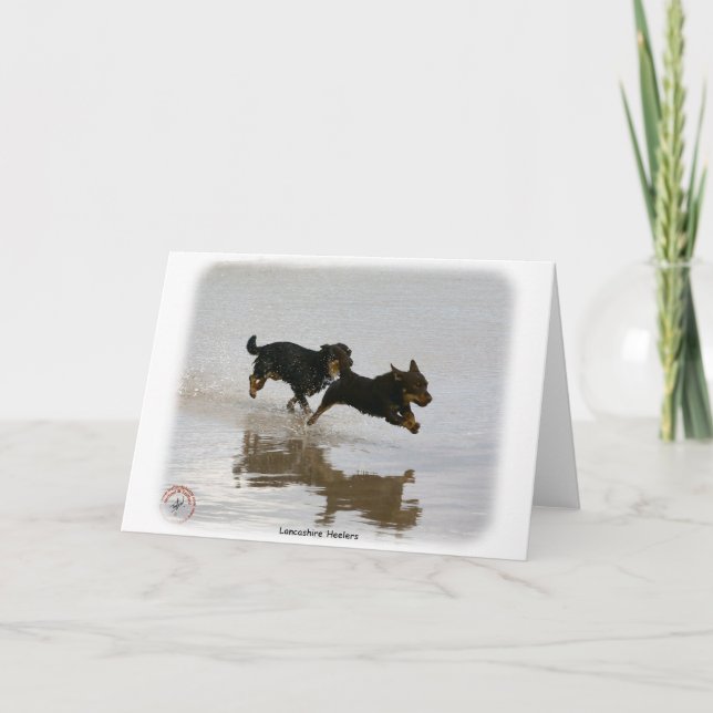 Lancashire Heeler 9R056D-182 Card (Front)