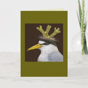 Lance the least tern card