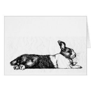 Lance the Unamused Bunneh